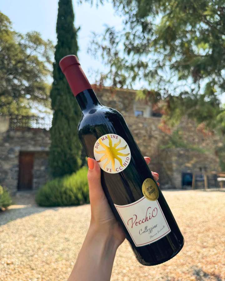 Vin Collezzino Corse