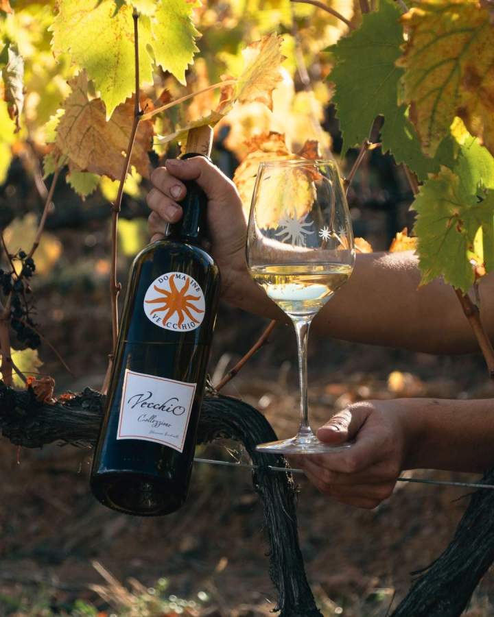 Cuvée Vecchio Collezzione Corse