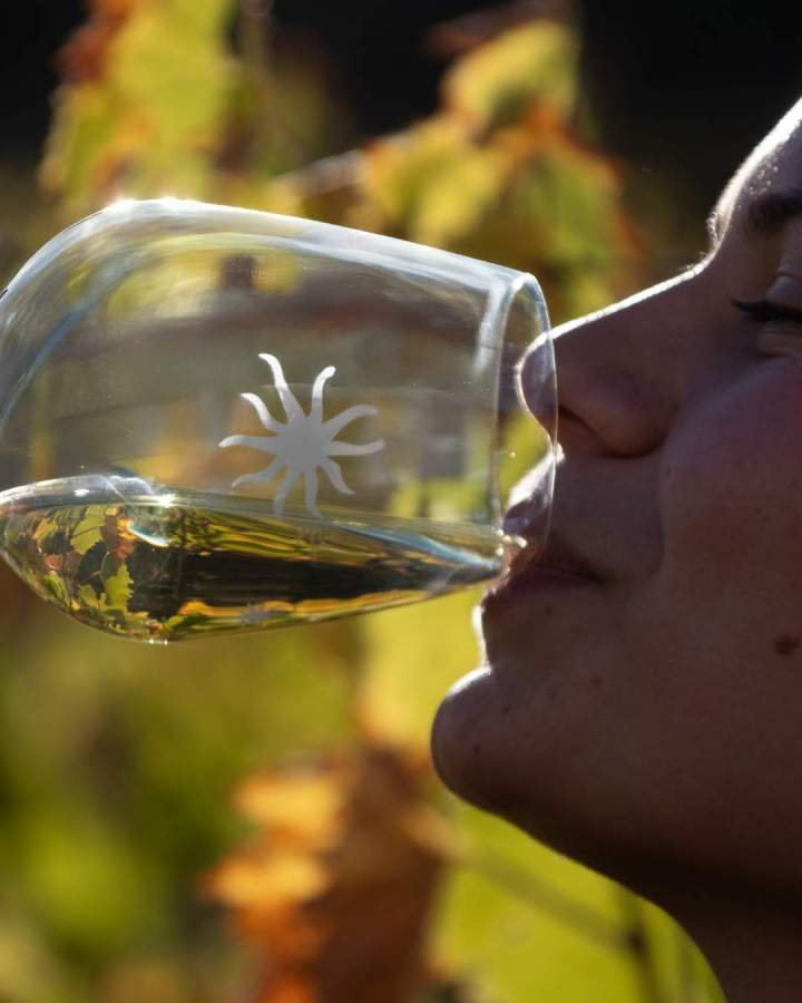 Dégustation vin Corse