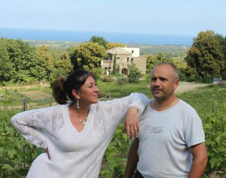 Viticulteurs Corse