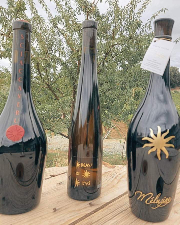 Vins authentiques de Corse